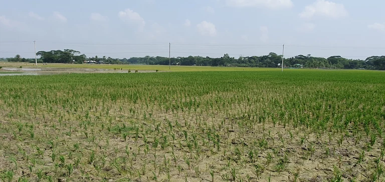 Drought Bangladesh