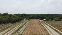 Production system shifts in Bangladesh