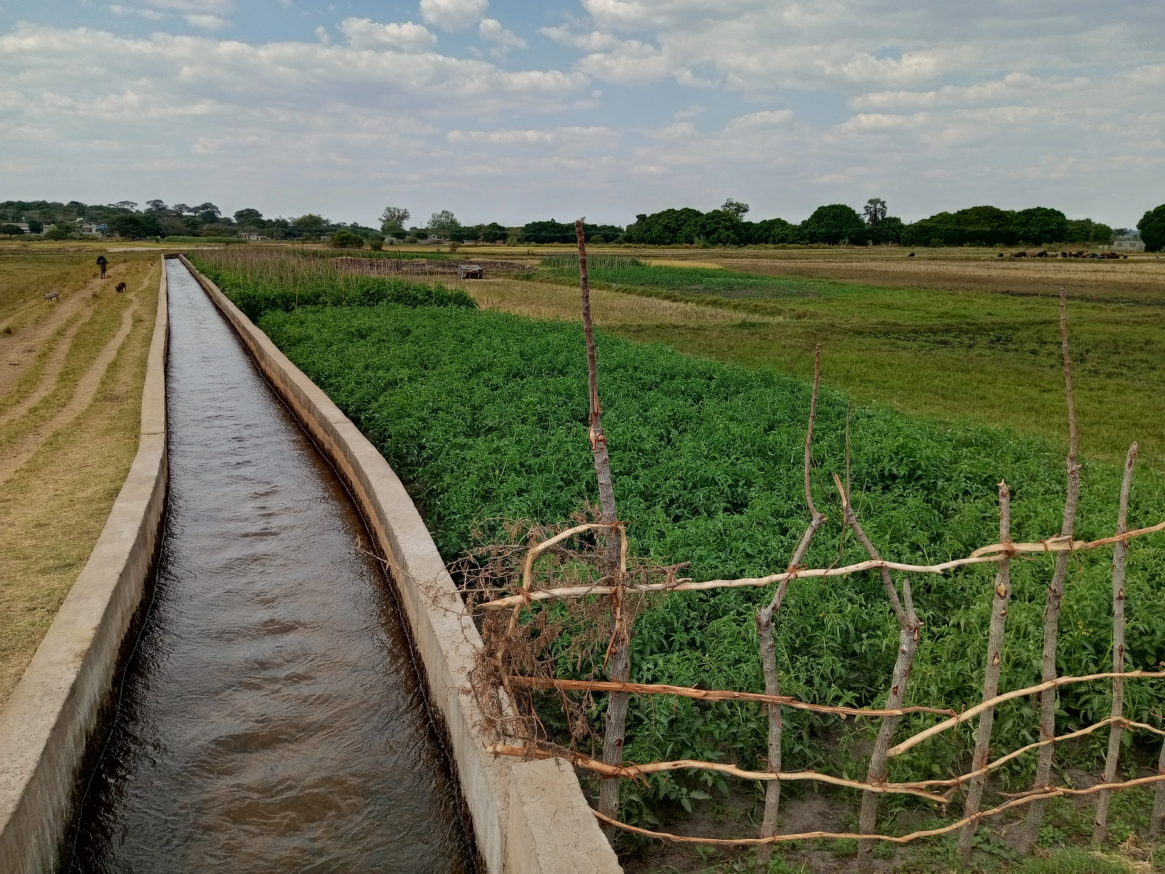 Irrigation agriculture in Zambia