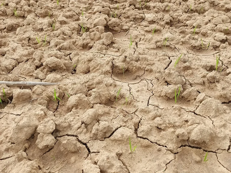 Trockenheit