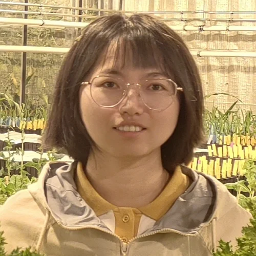 Fen Zhang 500x500