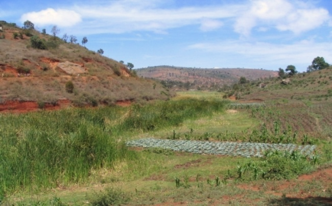 Cultivated inland valley wetland in the Usambara Mountains, Tanzania