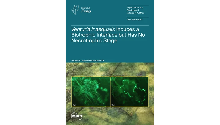 20241212_JoF-Issue Cover for V10,I12-SM.png