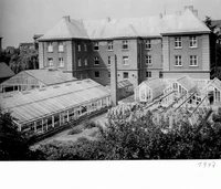 historisches Bild Pflanzenkrankheiten 1947 V2 fix.webp