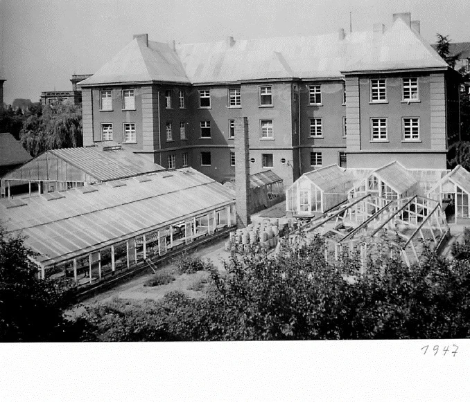 historisches Bild Pflanzenkrankheiten 1947 V2 fix.webp