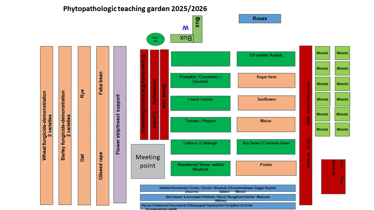 Lehrgarten_2025-2026.webp