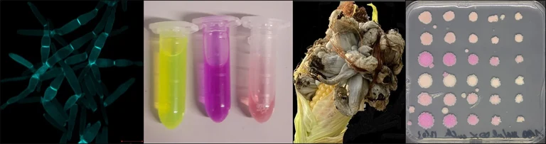 Panel Zusammenstellung 1.jpg