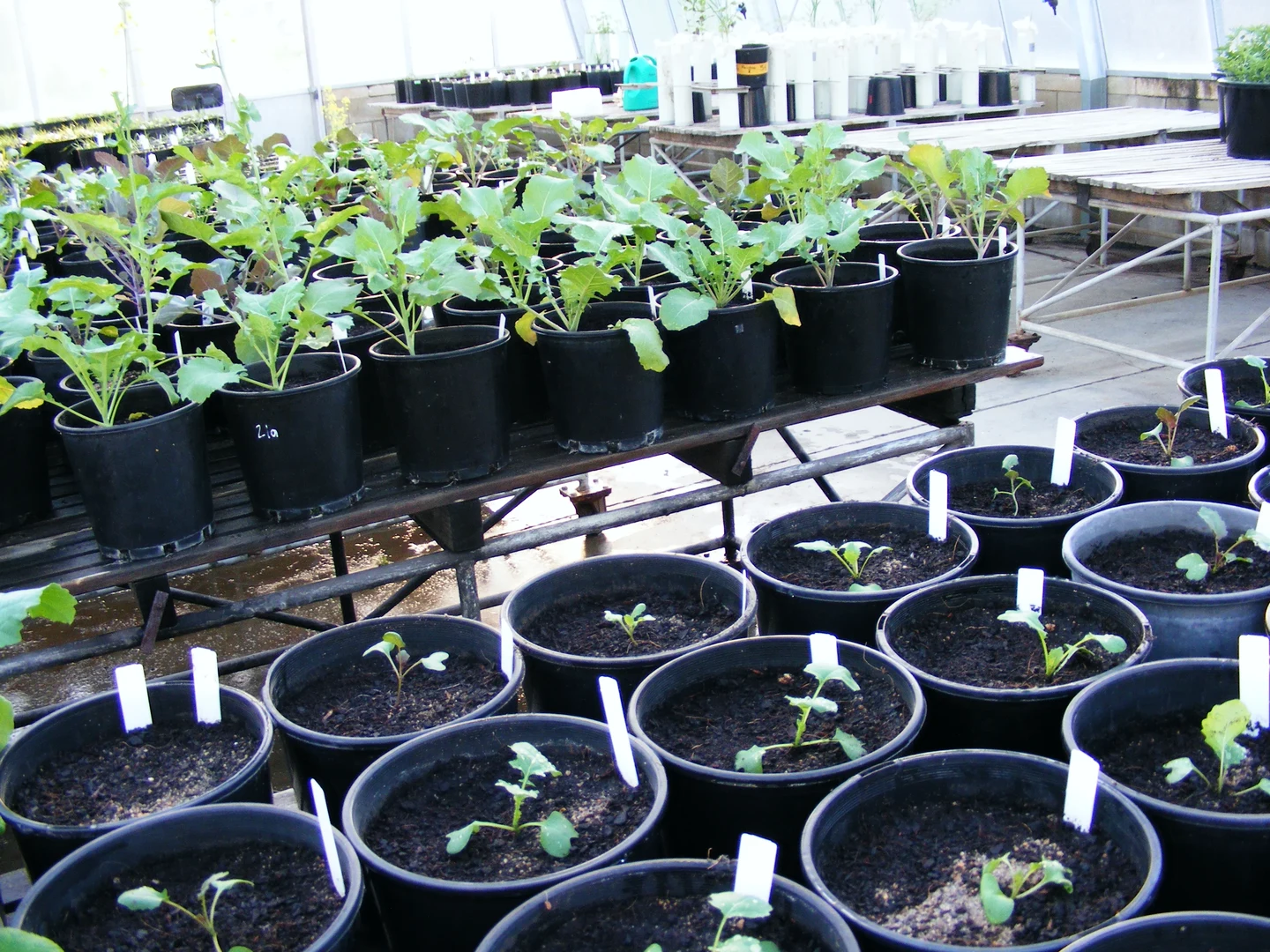 Eine Wissenschaftlerin und ein Wissenschaftler arbeiten hinter einer Glasfassade und mischen Chemikalien mit Großgeräten.