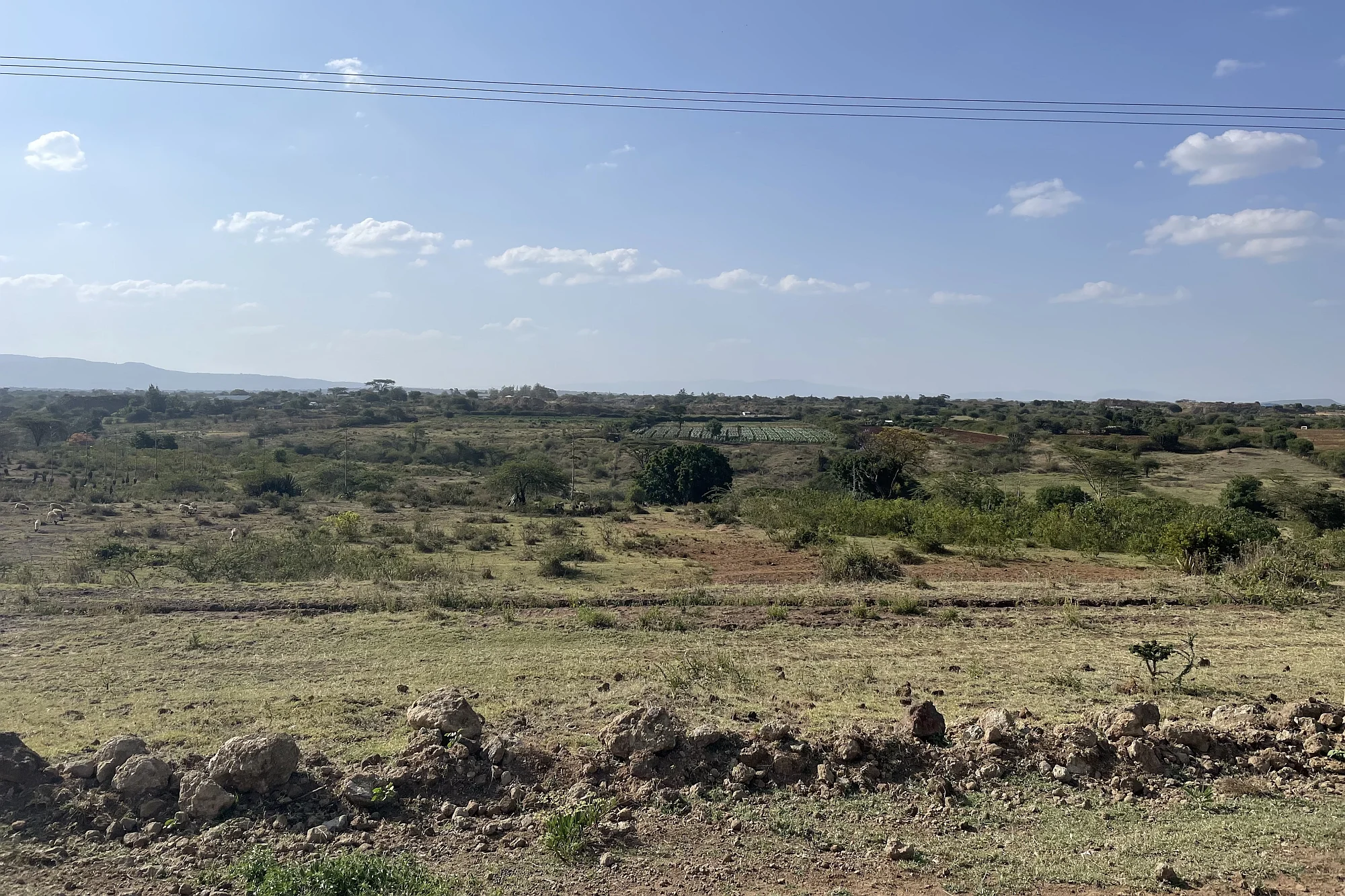 land use
